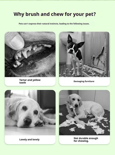 Dog Chew Toy & Teeth Cleaning Brush