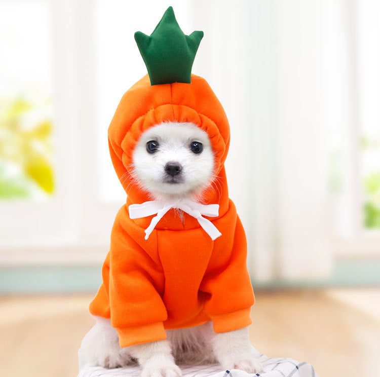 Fruit Print Hoodie for Small Dogs & Cats
