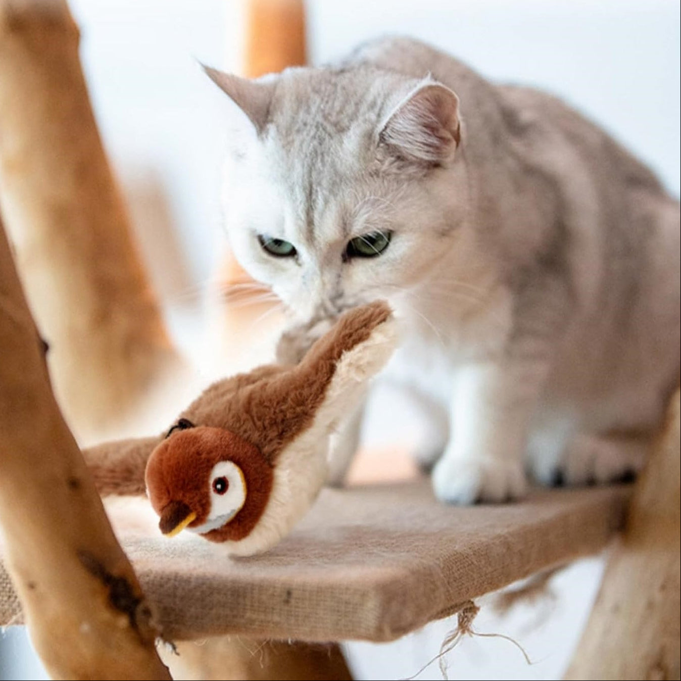 Flapping & Chirping Bird Toy for Indoor Cats