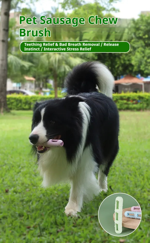 Dog Chew Toy & Teeth Cleaning Brush