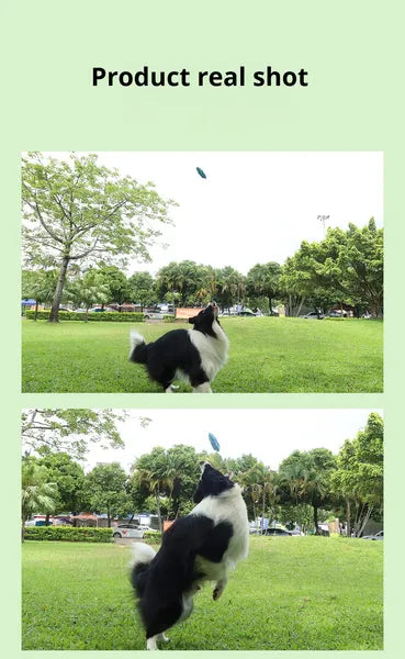 Silicone Corn Chew Toy for Dogs — All Sizes