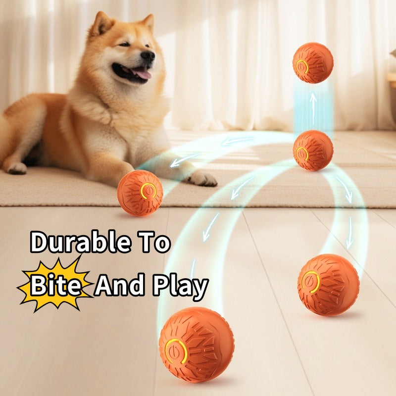 Dog Brain & Play Bundle