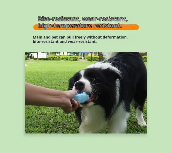 Silicone Corn Chew Toy for Dogs — All Sizes
