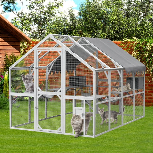 Outdoor Cat Room Cat Fence Kitten Play Fence With Platform