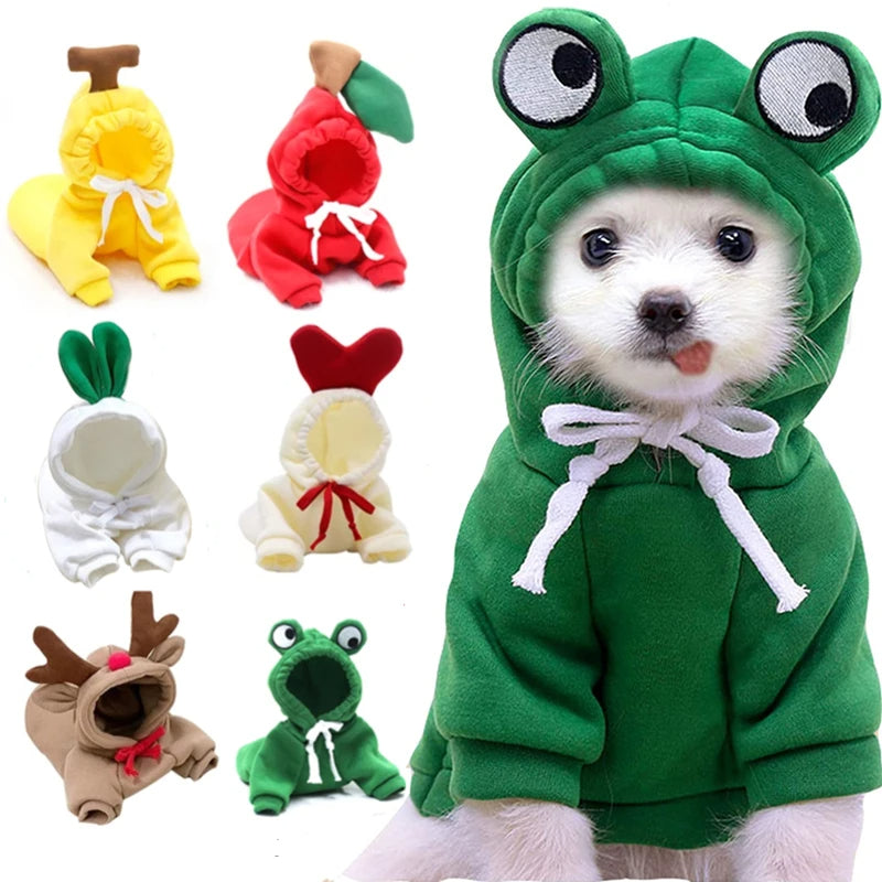 Fruit Print Hoodie for Small Dogs & Cats