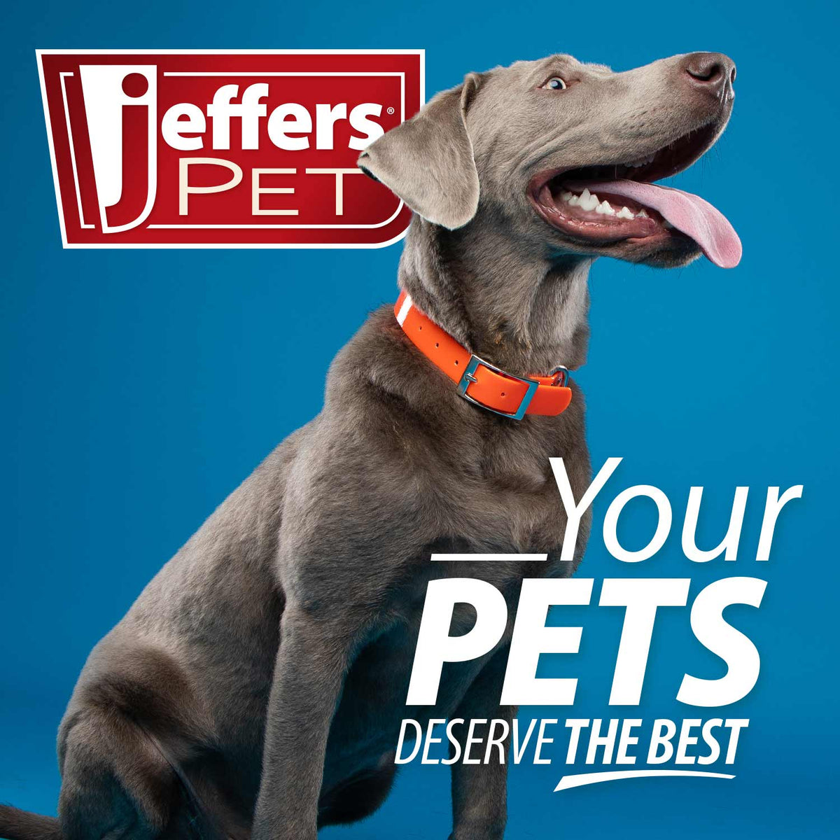 Jeffers UrinaryWes Suplemento en Polvo para la Salud Urinaria de Perros y Gatos