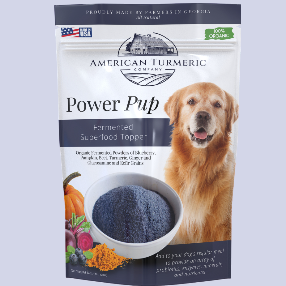 Power Pup Fermented Superfood Turmeric Powder for Pets