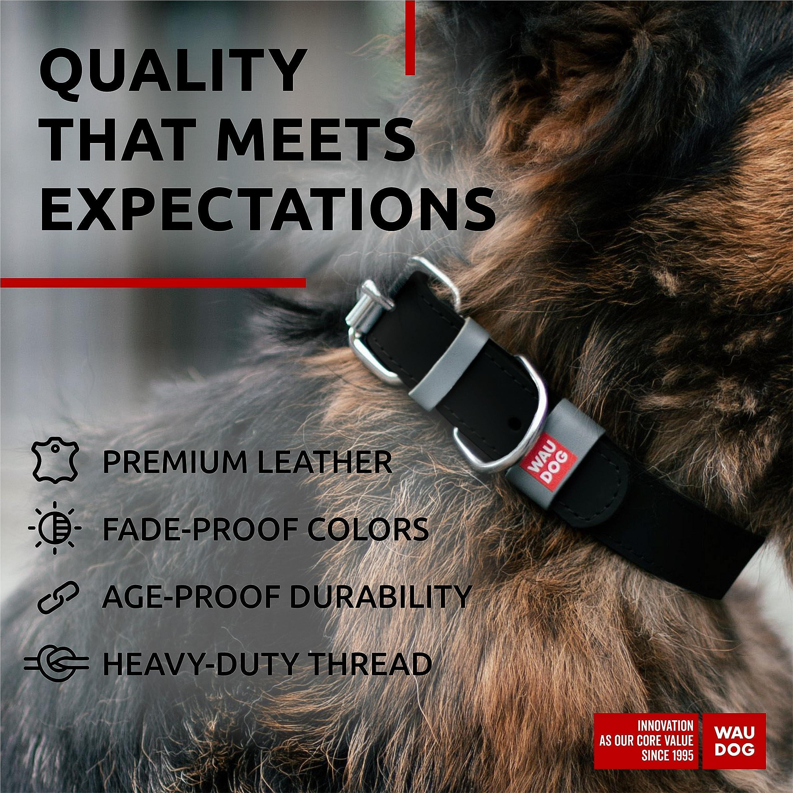 Black Long Lasting Leather Dog Collar Adjustable for Medium Dogs 1215 inch Neck