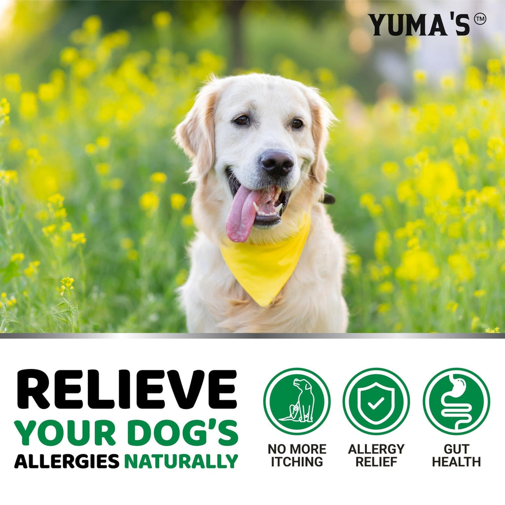 Allergy Relief Chews for Dogs — 170 Treats - Mascotitas