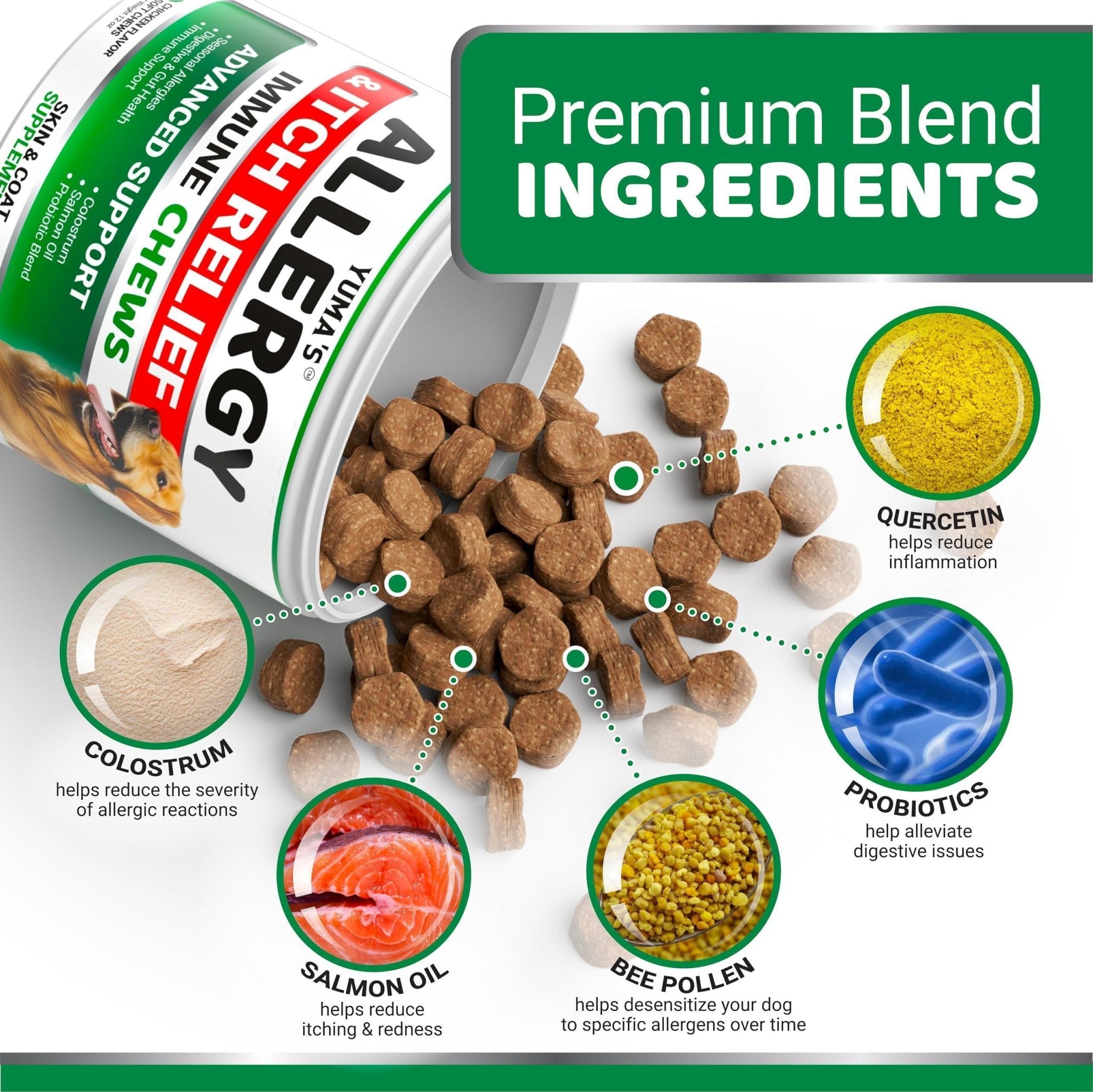 Allergy Relief Chews for Dogs — 170 Treats - Mascotitas