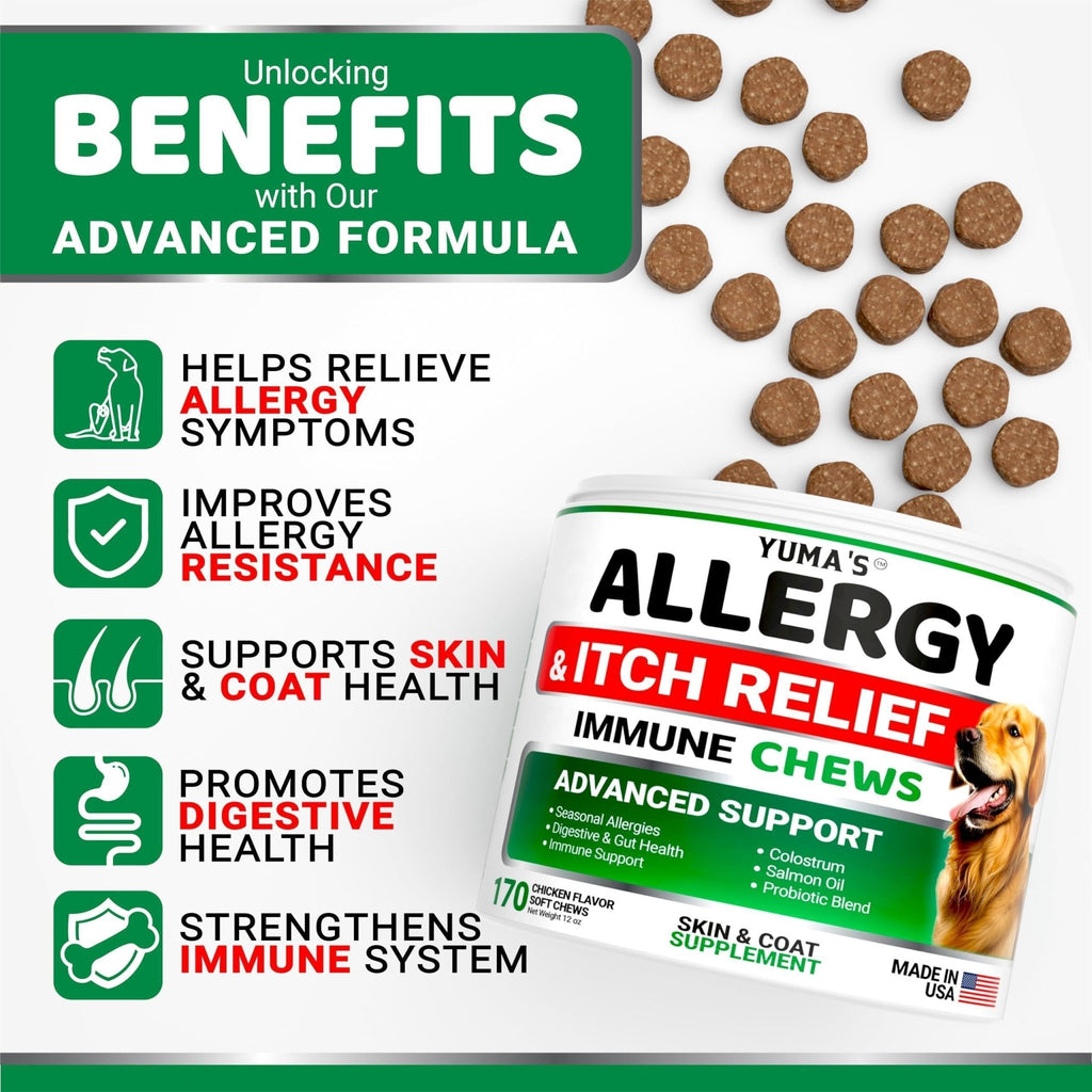 Allergy Relief Chews for Dogs — 170 Treats - Mascotitas