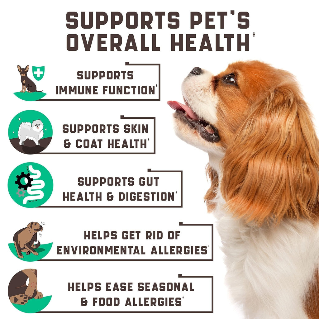 Allergy Relief Chews with Omega & Probiotics - Mascotitas