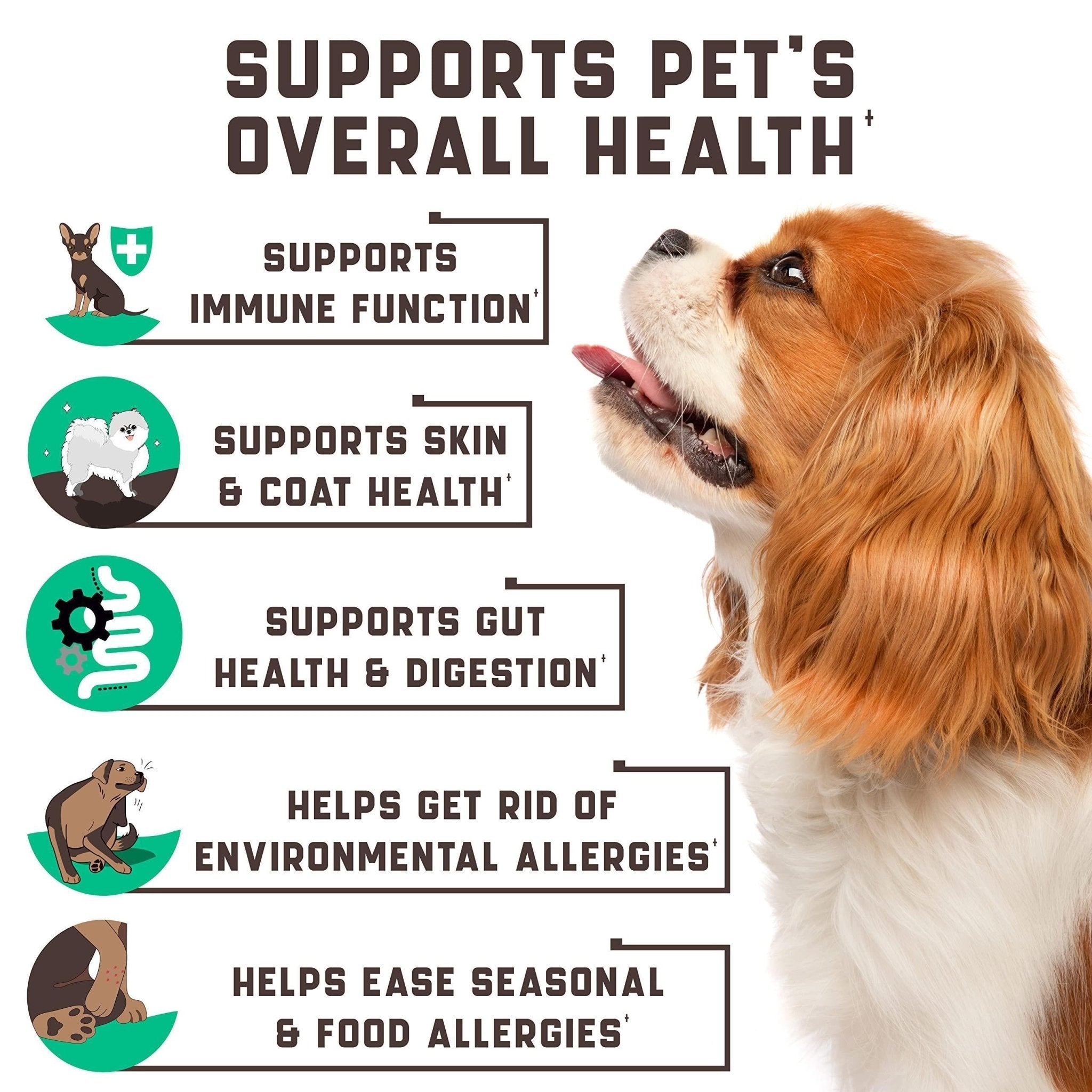 Allergy Relief Chews with Omega & Probiotics - Mascotitas
