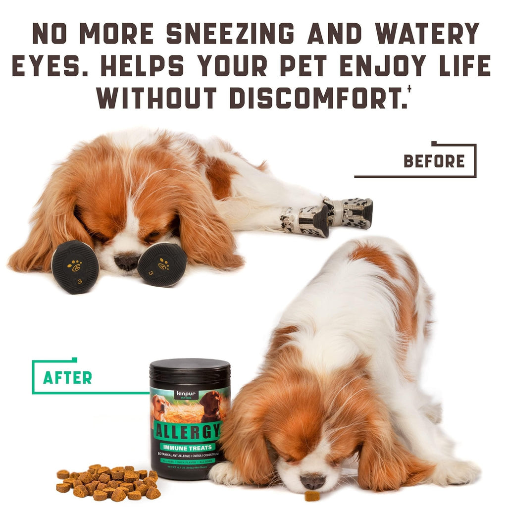 Allergy Relief Chews with Omega & Probiotics - Mascotitas