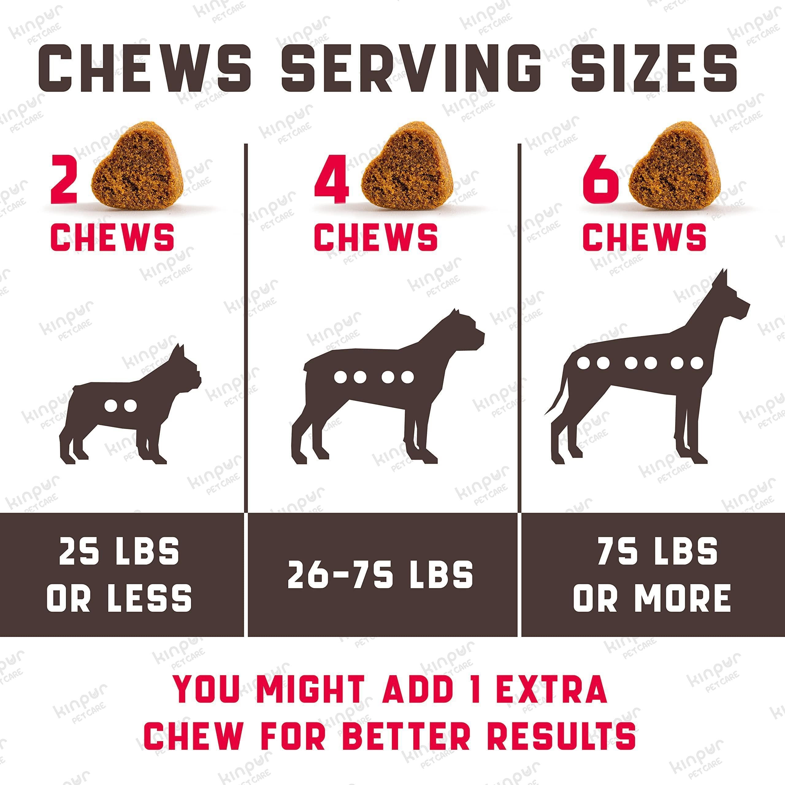 Cranberry Chews for Dogs — Urinary Support