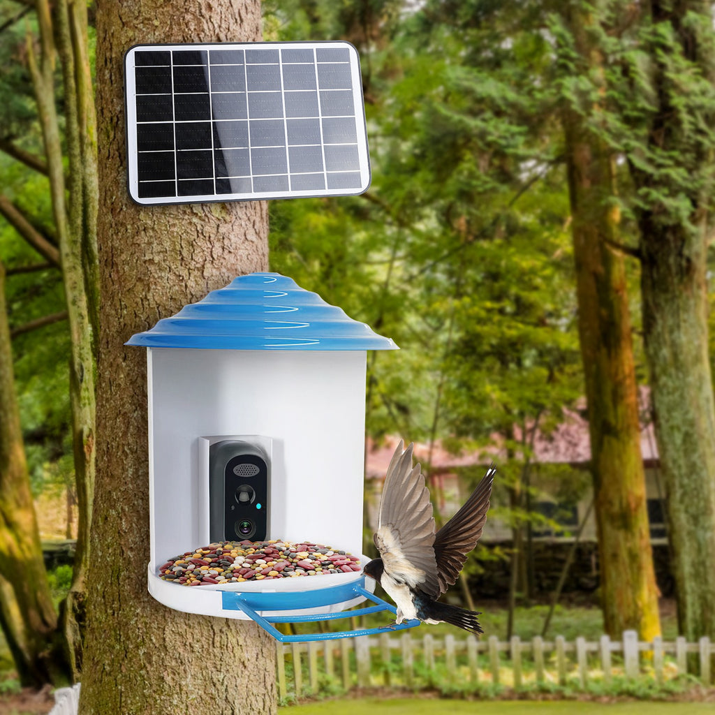 Smart Bird Feeder with Solar-Powered Camera