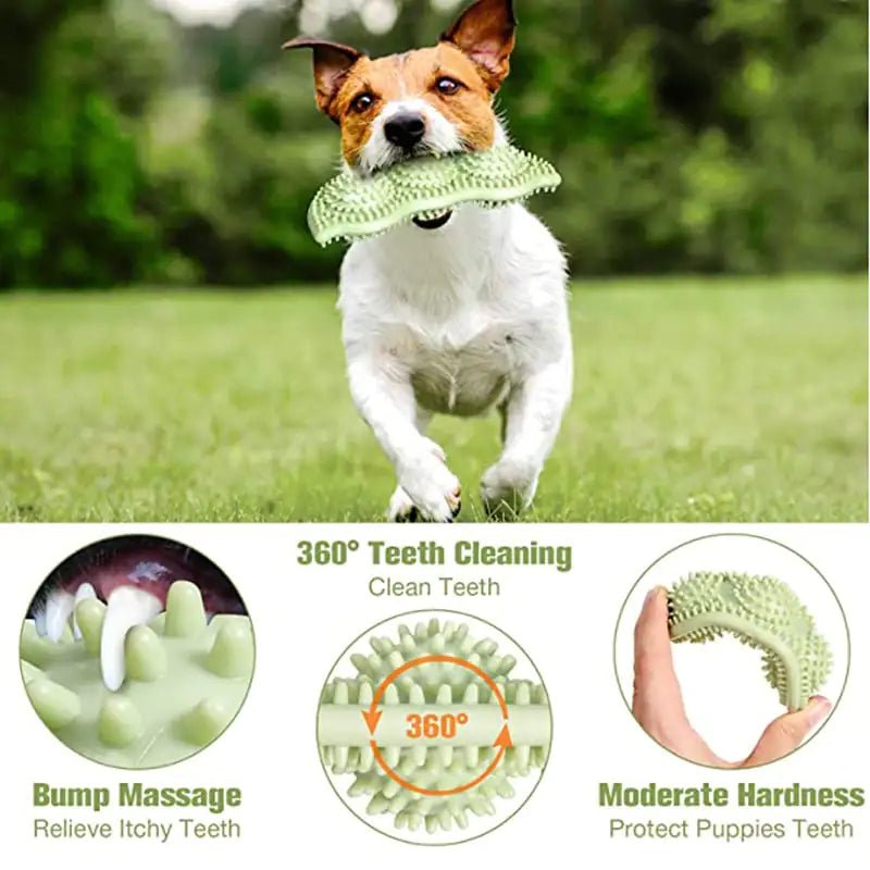 Bite - Resistant Dog Toy Ball for Interactive Chewing - Mascotitas