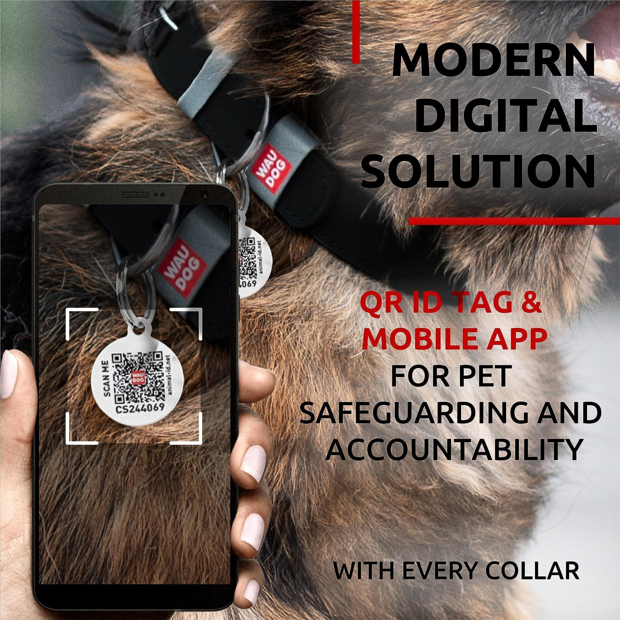 Black Long Lasting Leather Dog Collar Adjustable for Medium Dogs 1215 inch Neck - Mascotitas