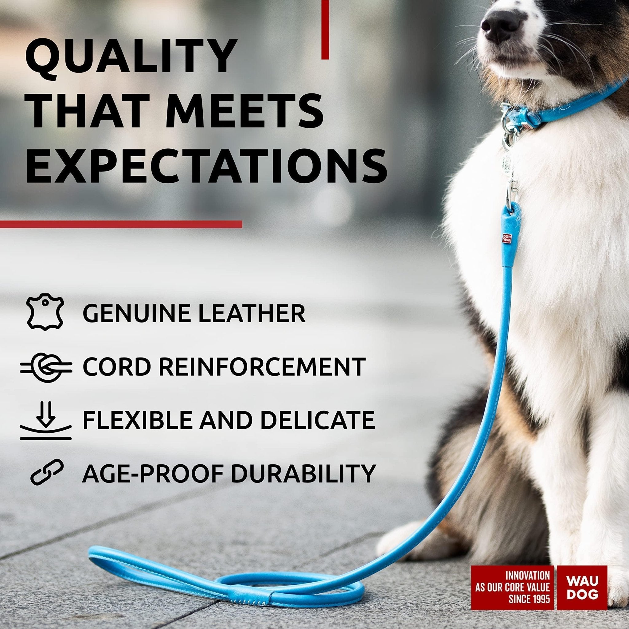 Blue Rolled Leather Dog Leash 6Ft x 0.5 in for Small Medium and Large Dogs - Mascotitas