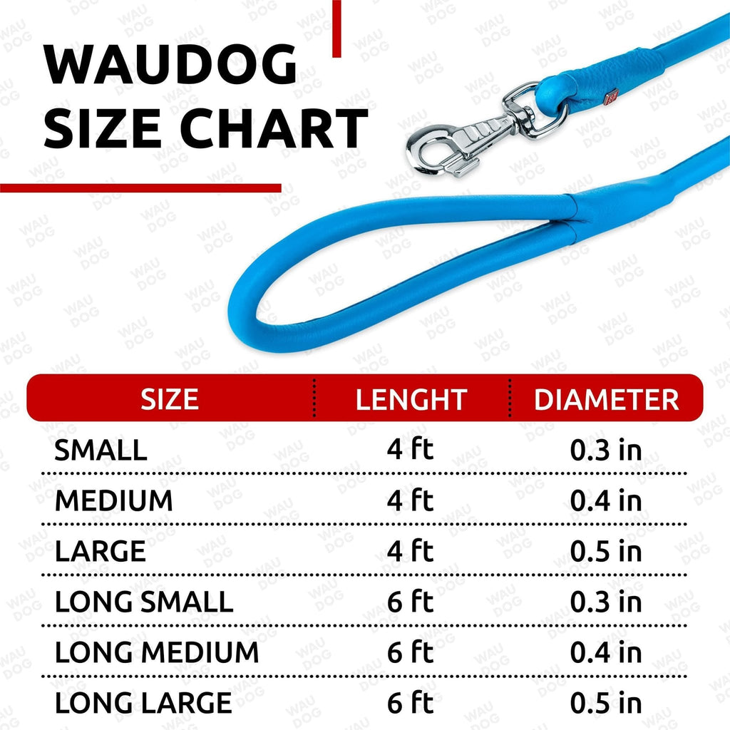 Blue Rolled Leather Dog Leash 6Ft x 0.5 in for Small Medium and Large Dogs - Mascotitas