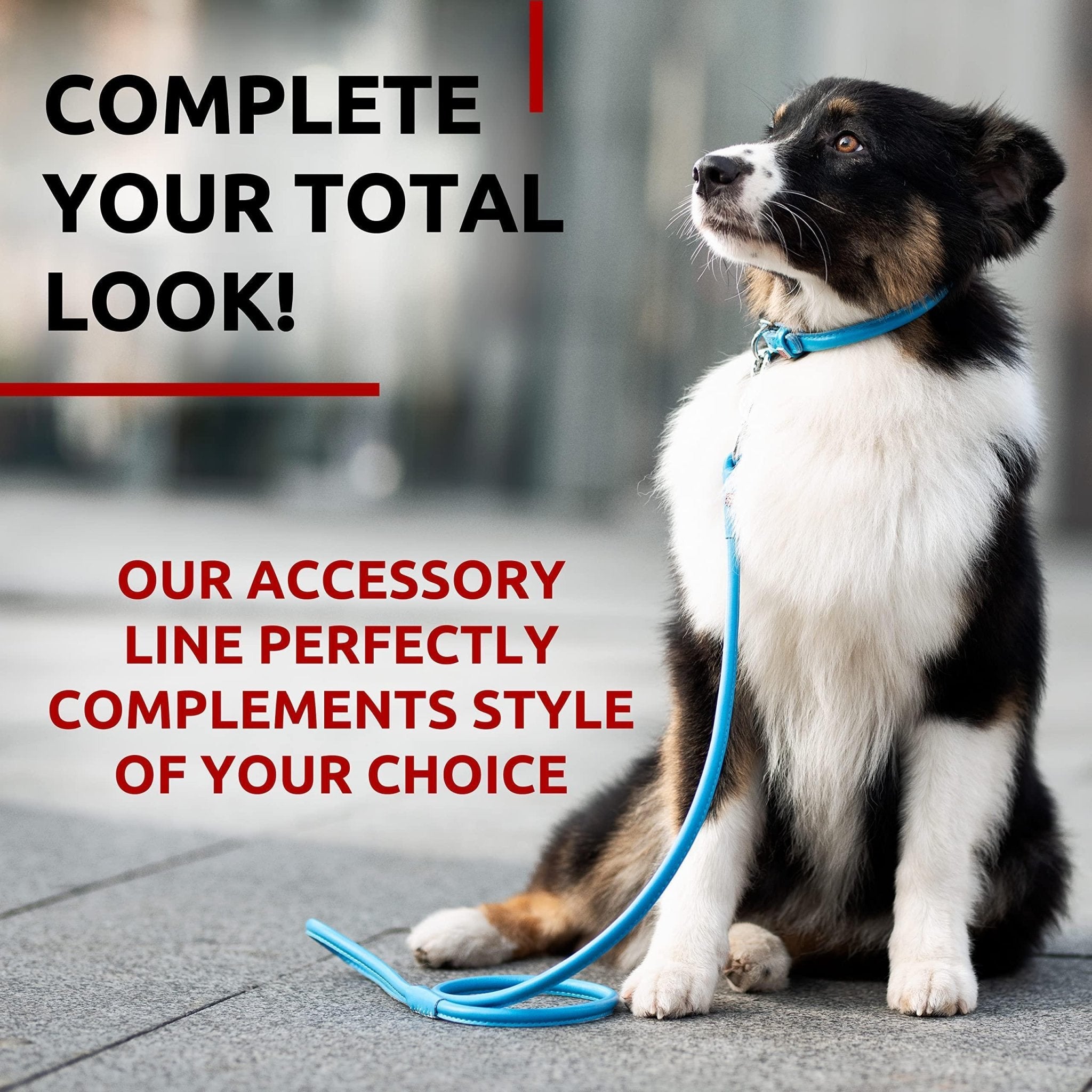 Blue Rolled Leather Dog Leash 6Ft x 0.5 in for Small Medium and Large Dogs - Mascotitas