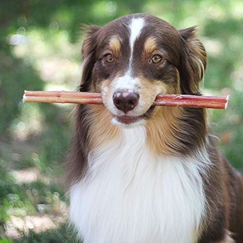 Brazilian Grass - Fed Beef Bully Sticks - Mascotitas