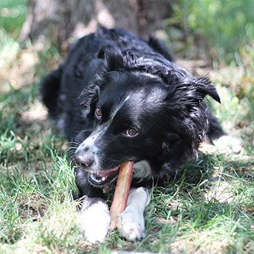 Brazilian Grass - Fed Beef Bully Sticks - Mascotitas