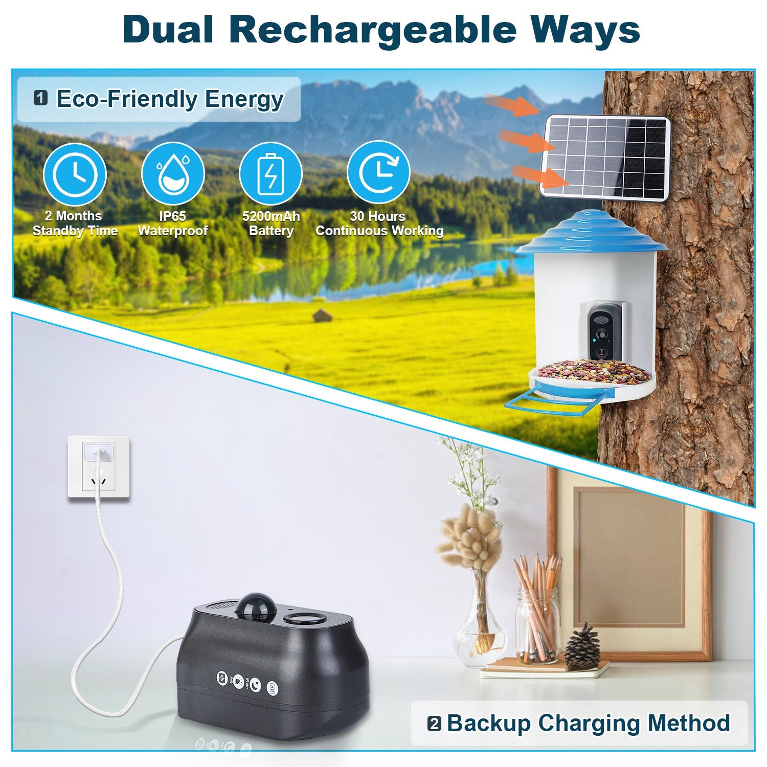 Smart Bird Feeder with Solar-Powered Camera