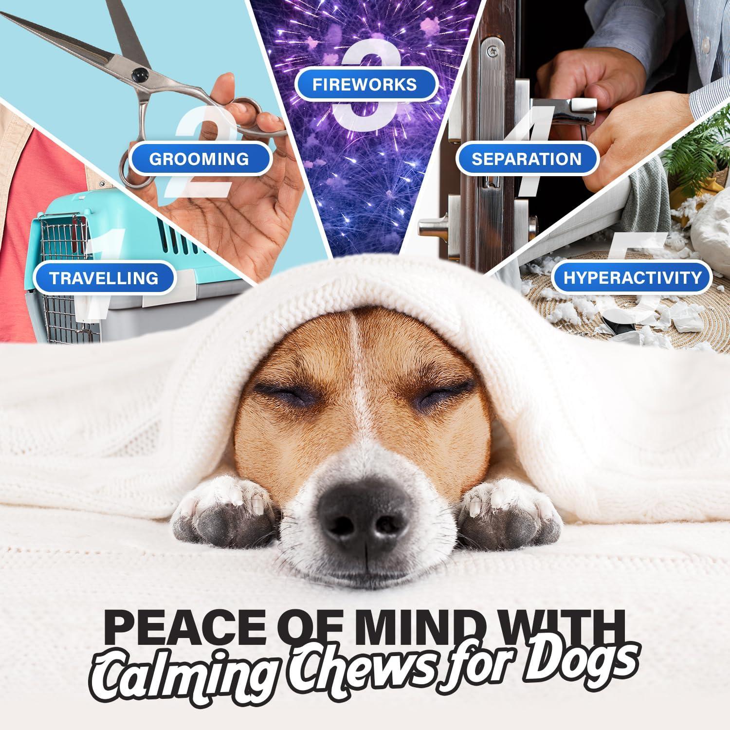 Calming Chews for Dogs — Chicken Flavor - Mascotitas