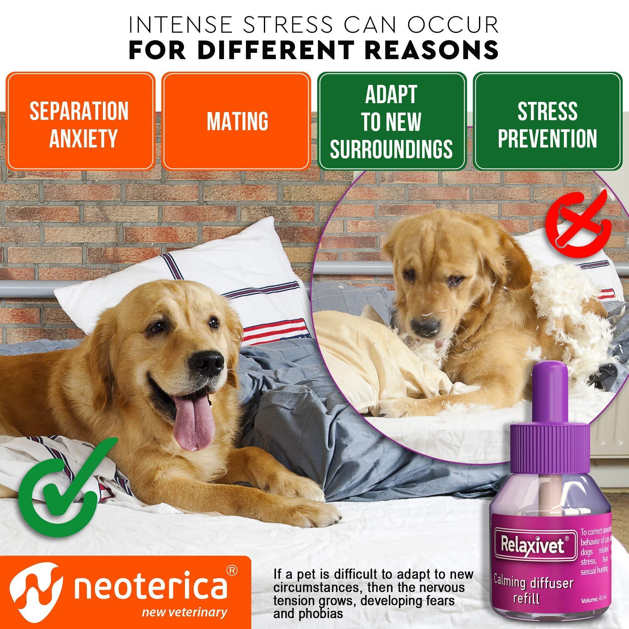 Calming Pheromone Diffuser Kit for Dogs - Mascotitas