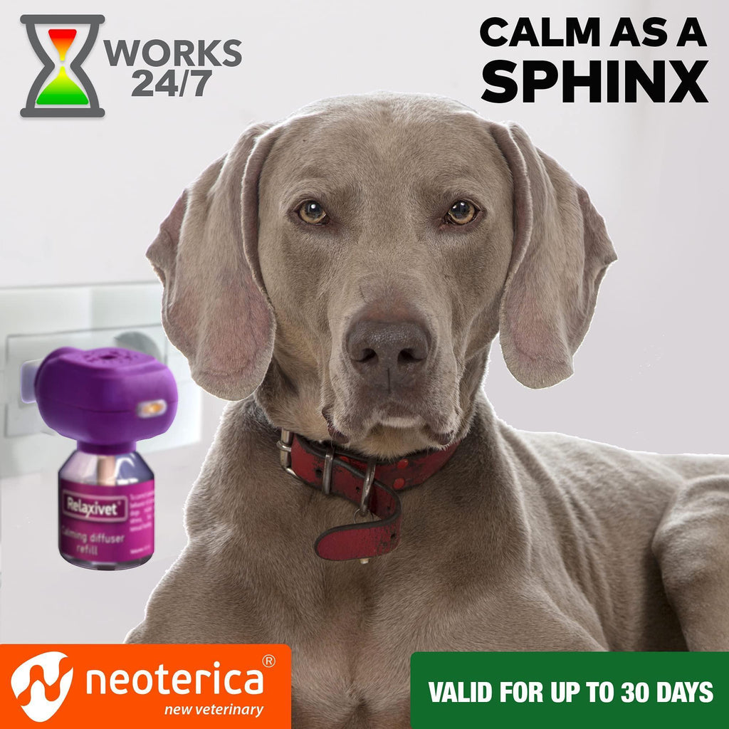 Calming Pheromone Diffuser Kit for Dogs - Mascotitas