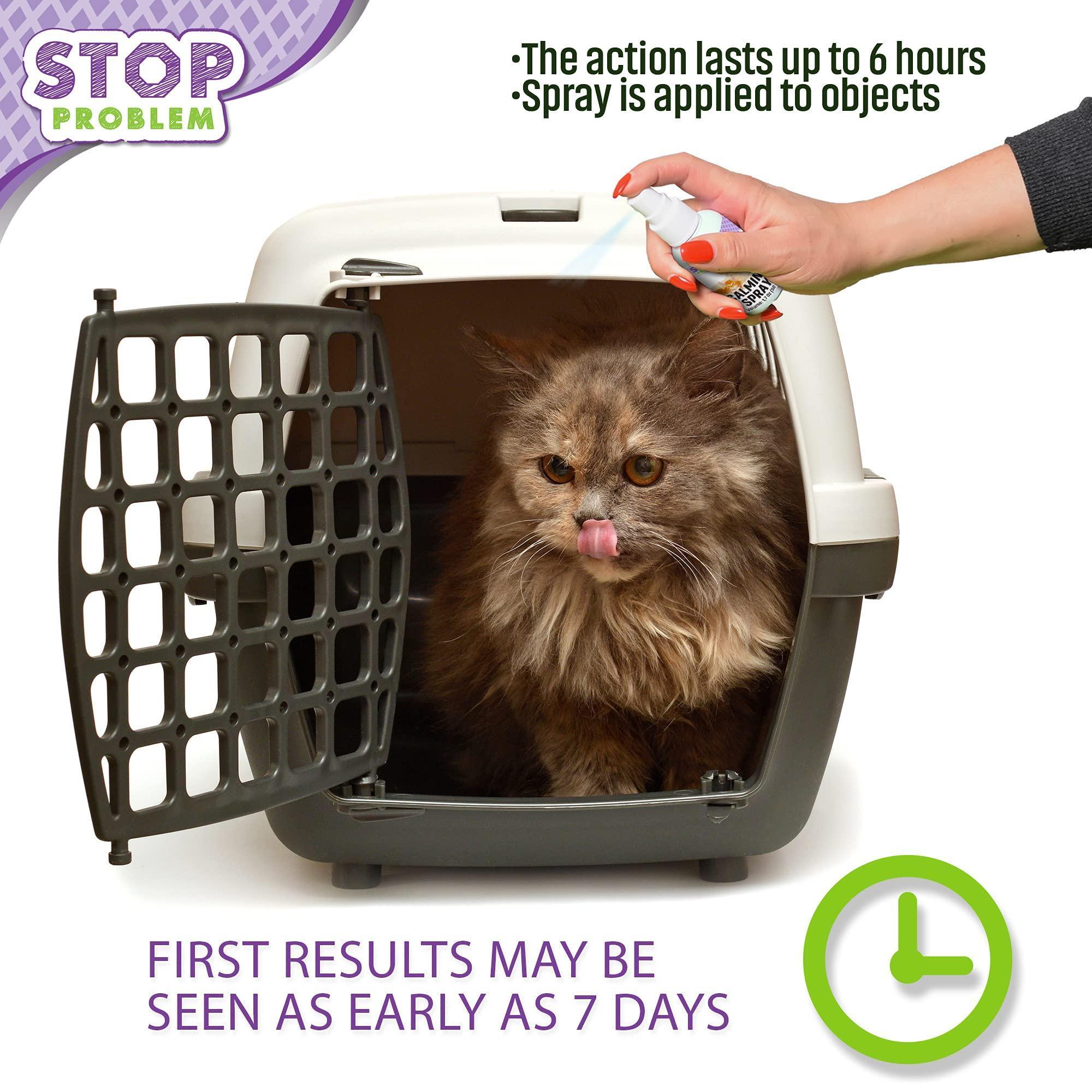 Calming Pheromone Spray for Cats - Mascotitas