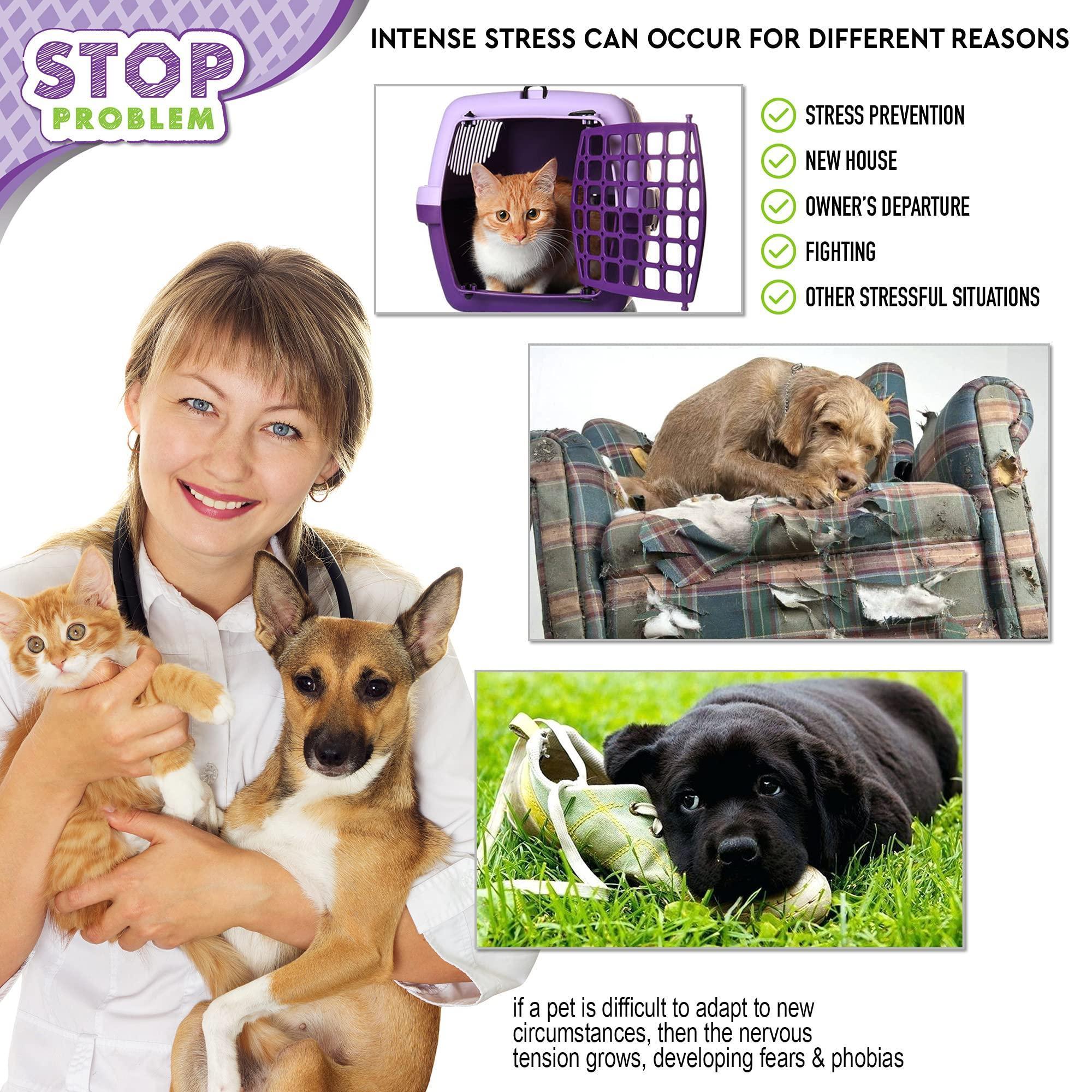 Cat Calming Diffuser Pet Anti Anxiety Feline Pheromones Plug in Stress Relief - Mascotitas