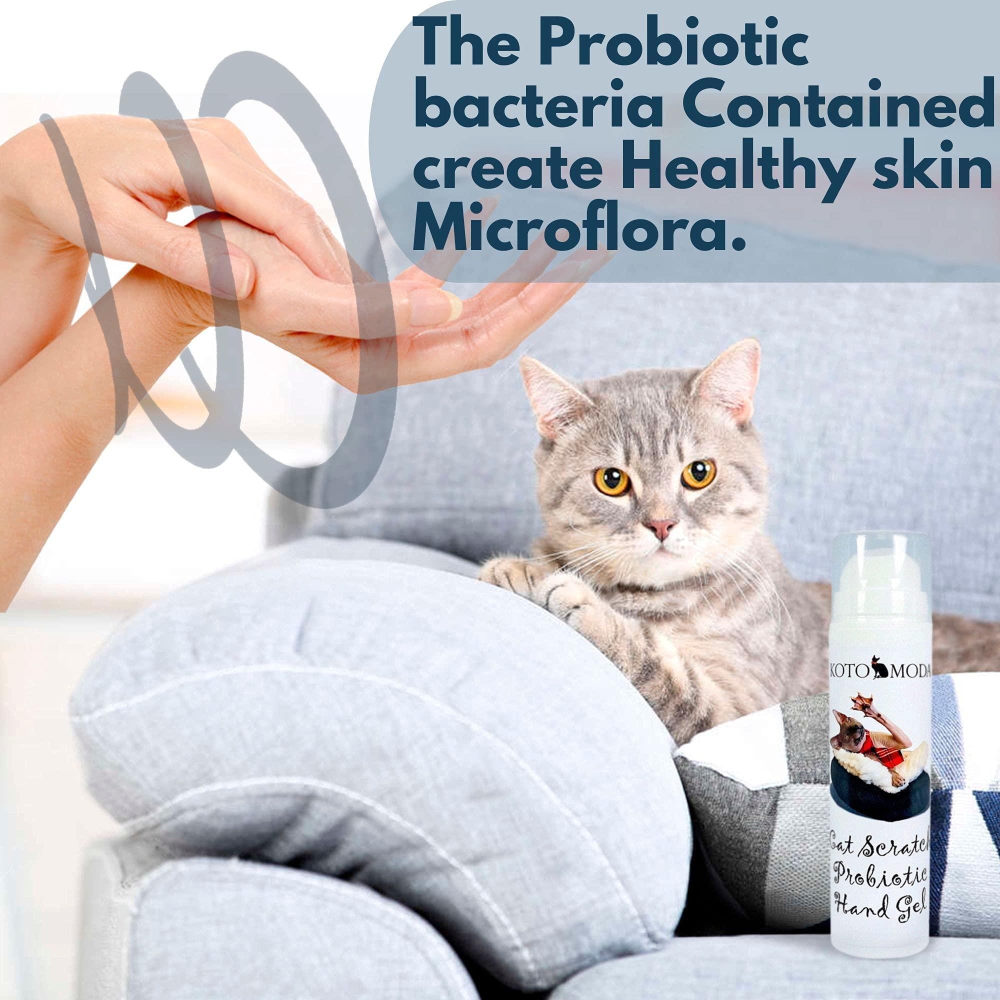 Cat Scratch Probiotic Hand Gel 50 ml Hygienic Treatment for Kitten Owners - Mascotitas