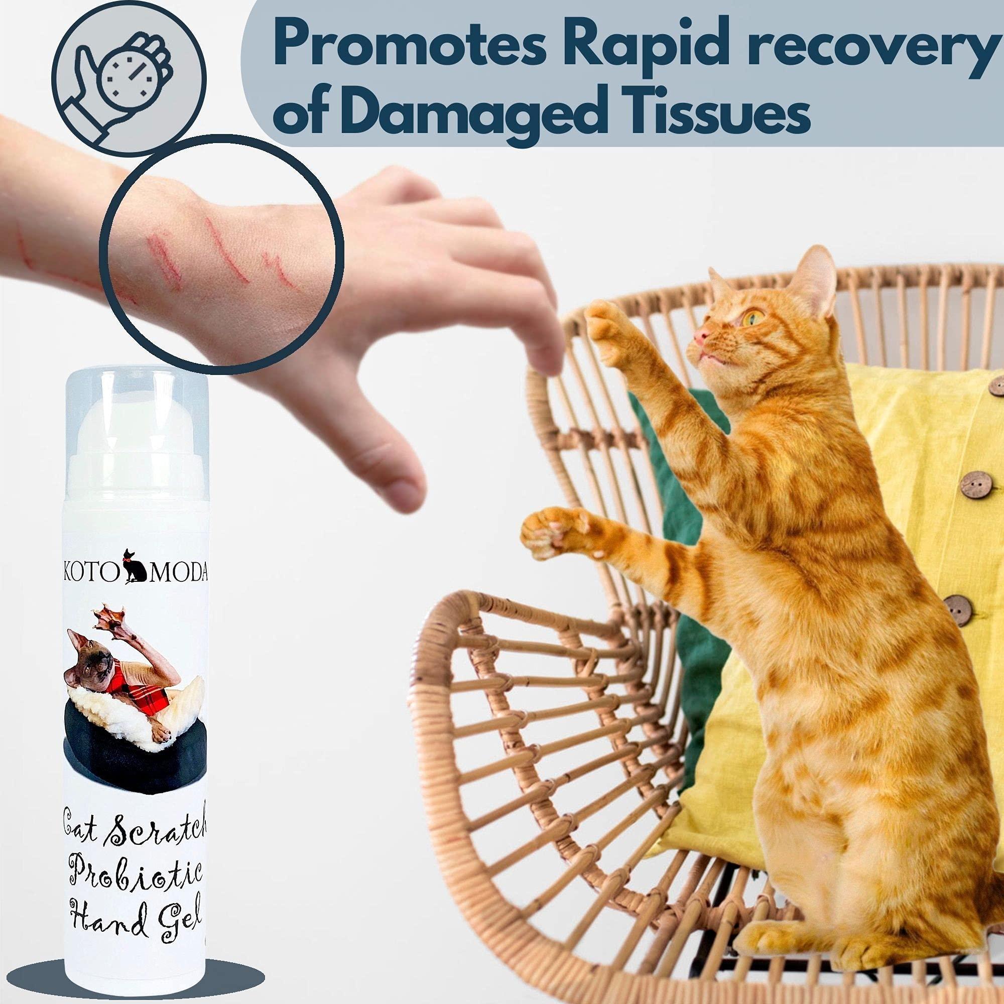 Cat Scratch Probiotic Hand Gel 50 ml Hygienic Treatment for Kitten Owners - Mascotitas