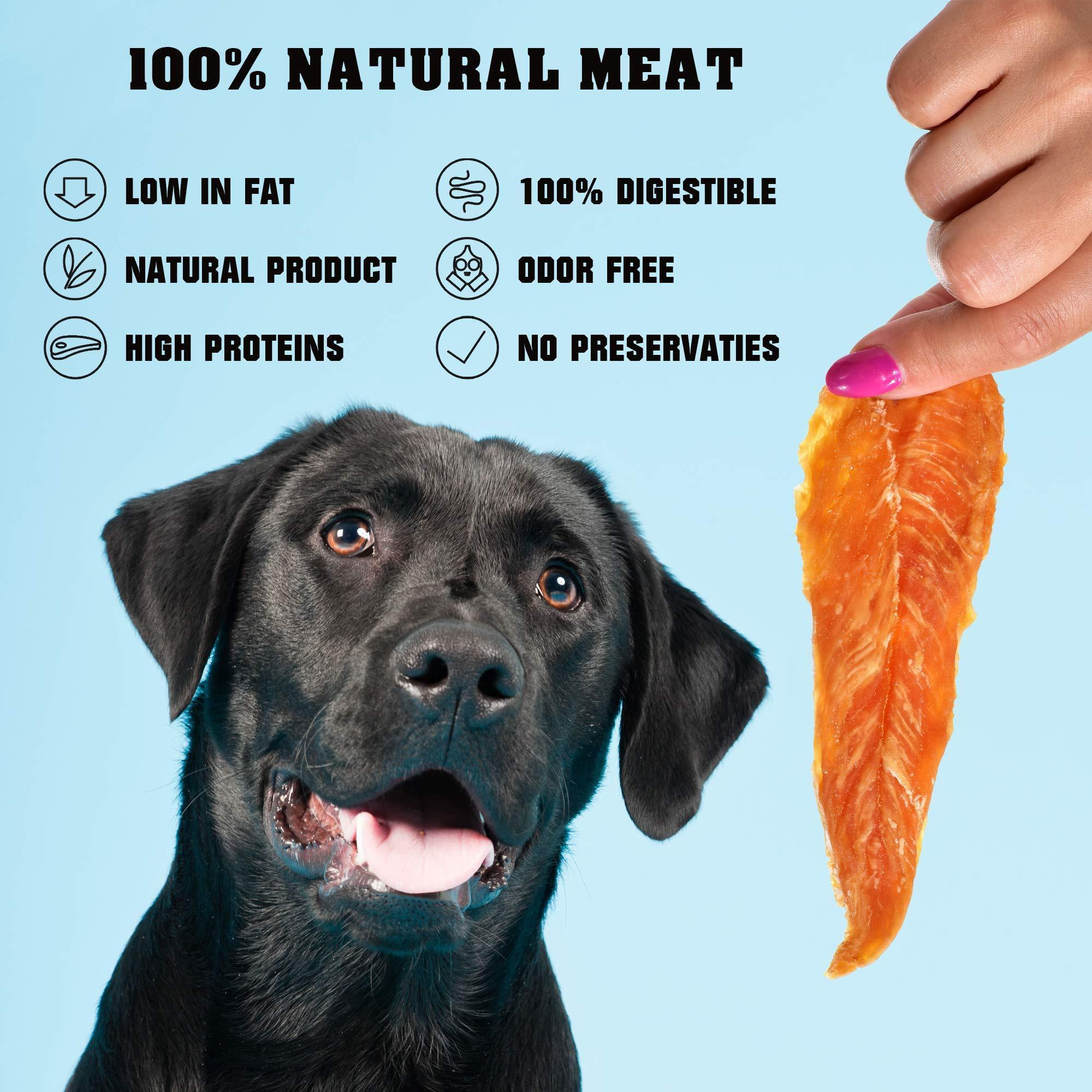 Chicken Jerky Dog Treats — 1.5 lb Grain Free - Mascotitas