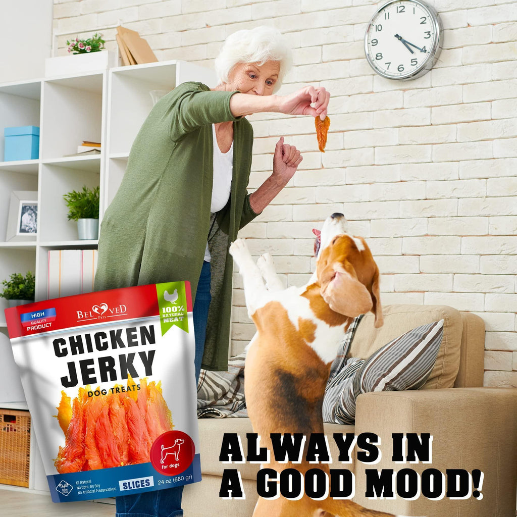 Chicken Jerky Dog Treats — 1.5 lb Grain Free - Mascotitas