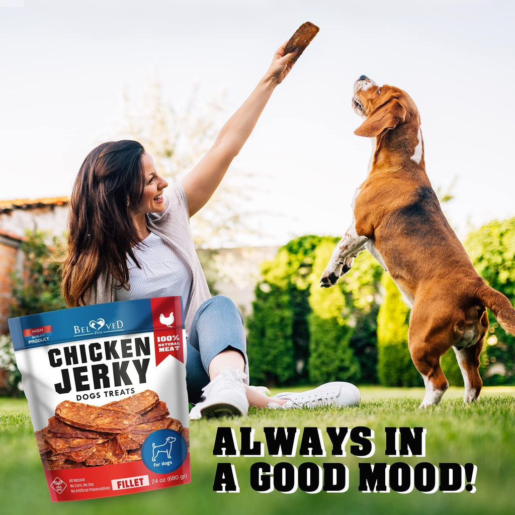 Chicken Jerky Strips for Dogs — 1.5 lb - Mascotitas