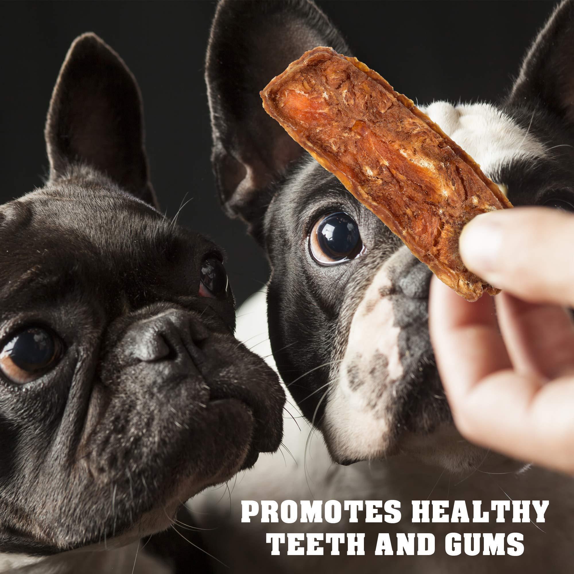 Chicken Jerky Strips for Dogs — 1.5 lb - Mascotitas