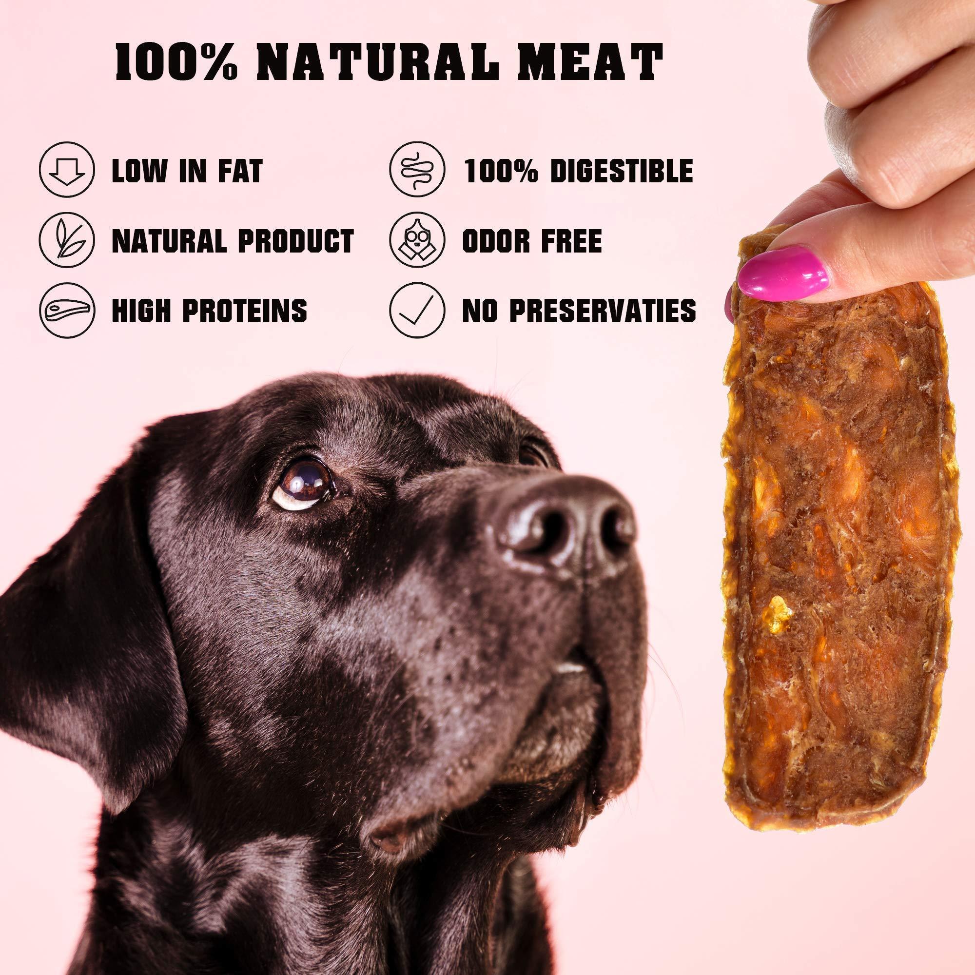 Chicken Jerky Strips for Dogs — 1.5 lb - Mascotitas