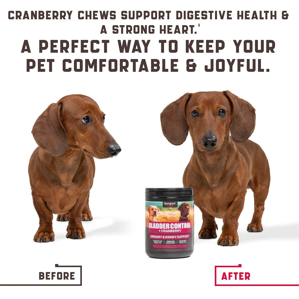 Cranberry Chews for Dogs — Urinary Support - Mascotitas
