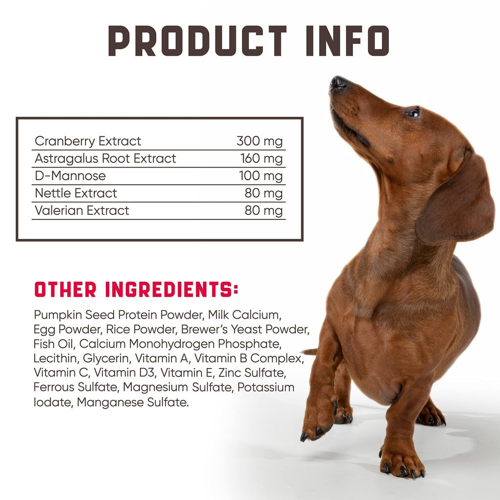 Cranberry Chews for Dogs — Urinary Support - Mascotitas