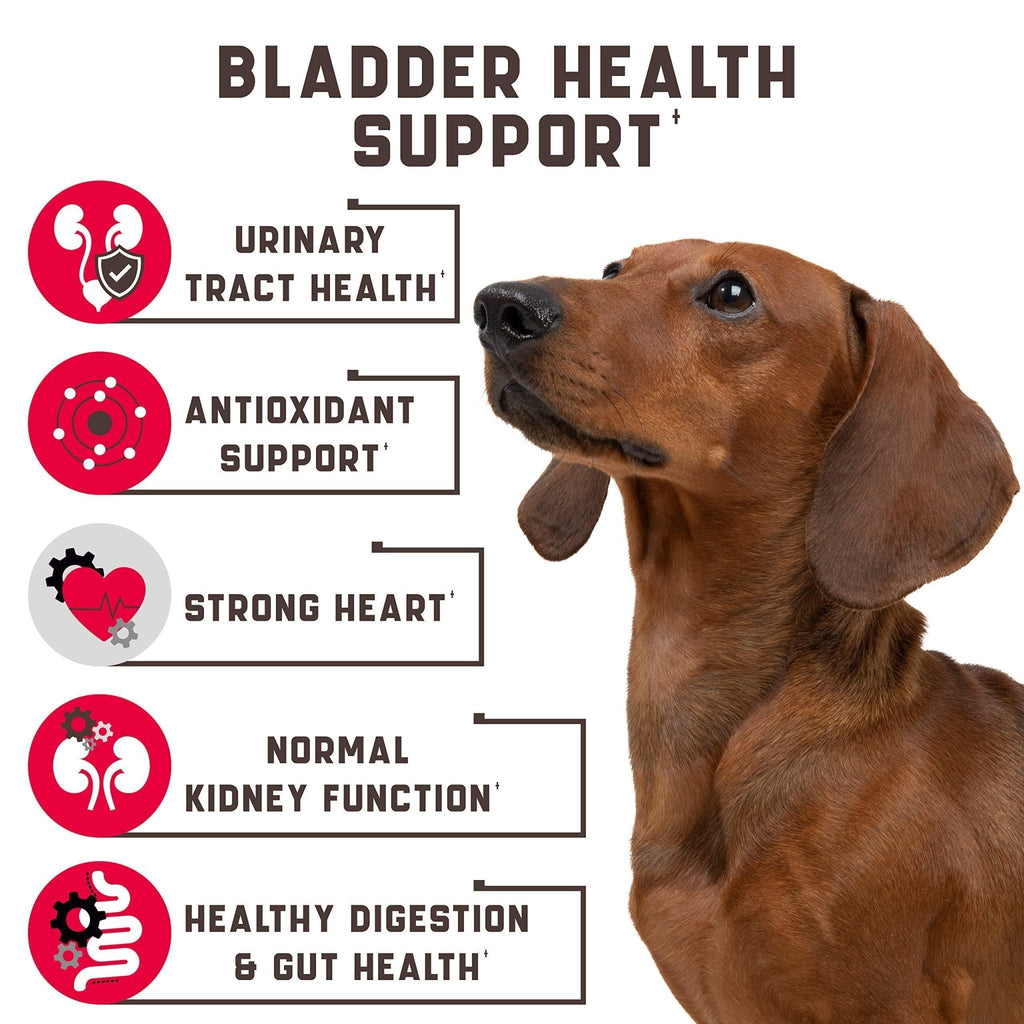 Cranberry Chews for Dogs — Urinary Support - Mascotitas