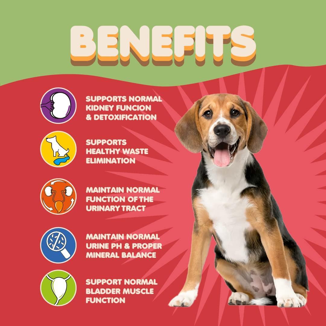 Cranberry UTI & Kidney Support for Dogs - Mascotitas