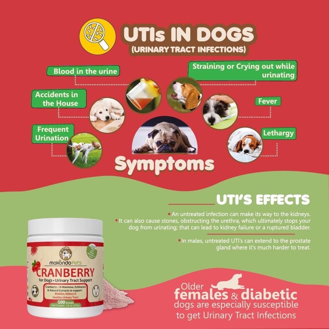 Cranberry UTI & Kidney Support for Dogs - Mascotitas