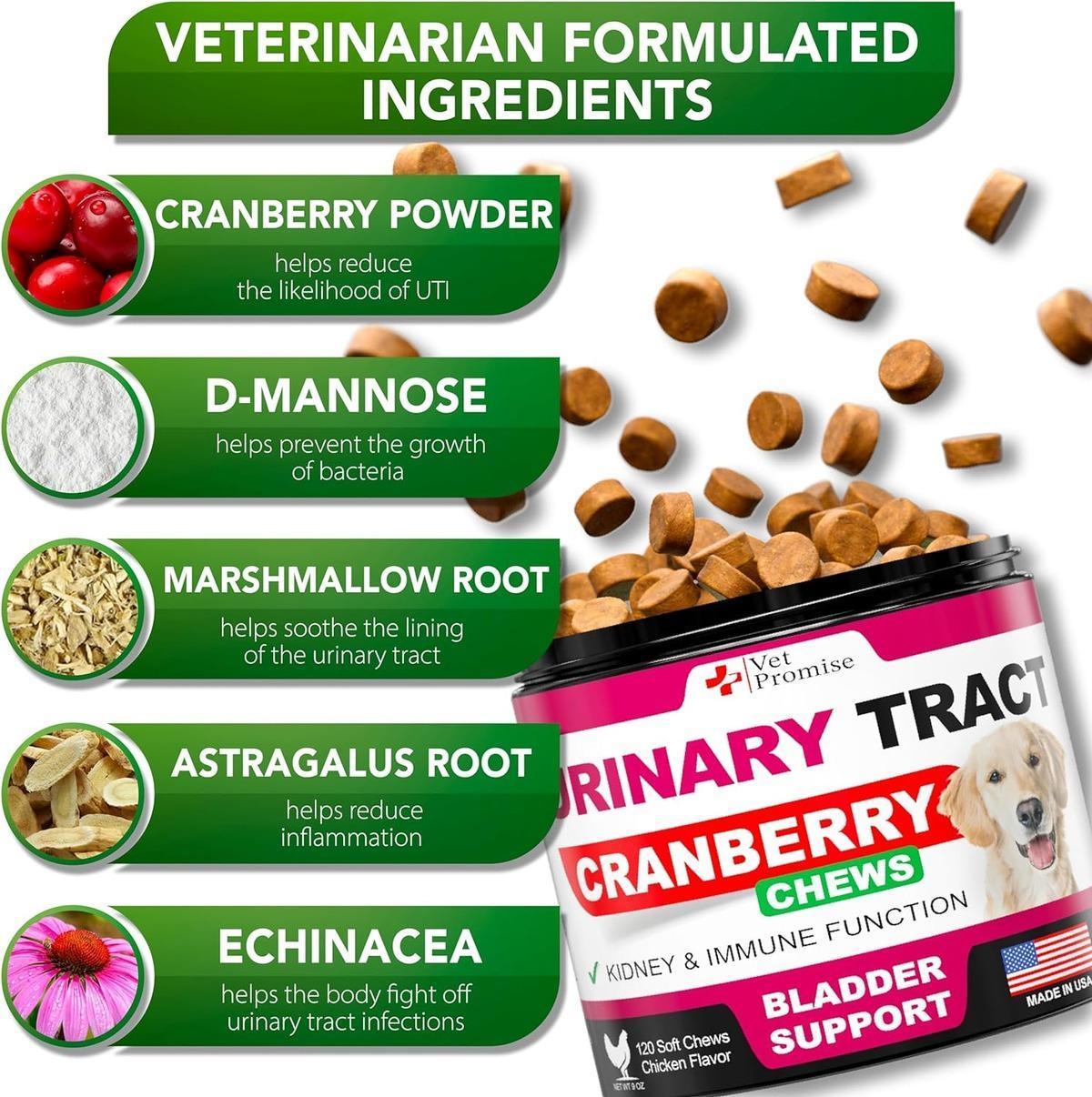 Cranberry UTI Treatment Chews for Dogs - Mascotitas