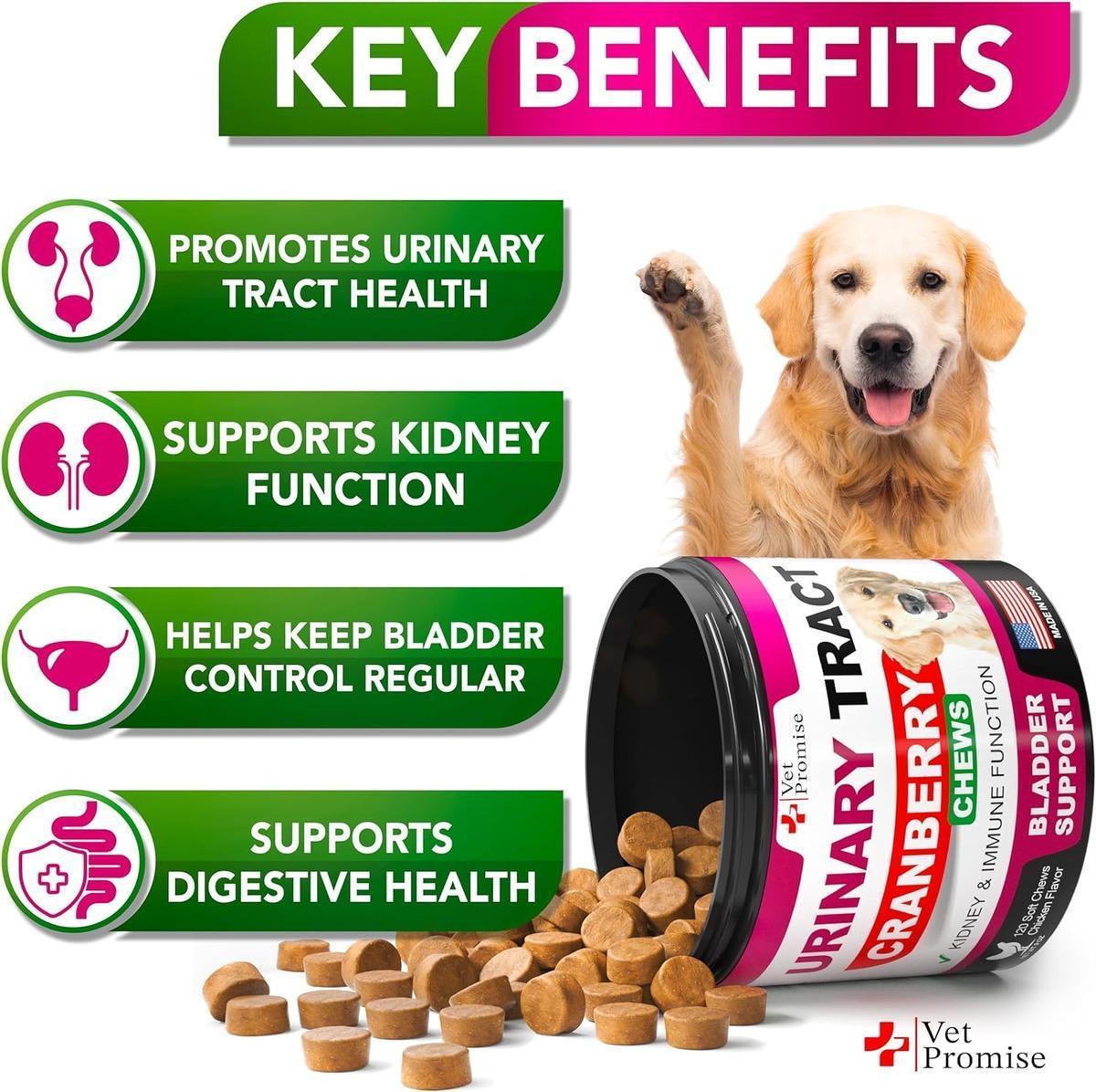 Cranberry UTI Treatment Chews for Dogs - Mascotitas