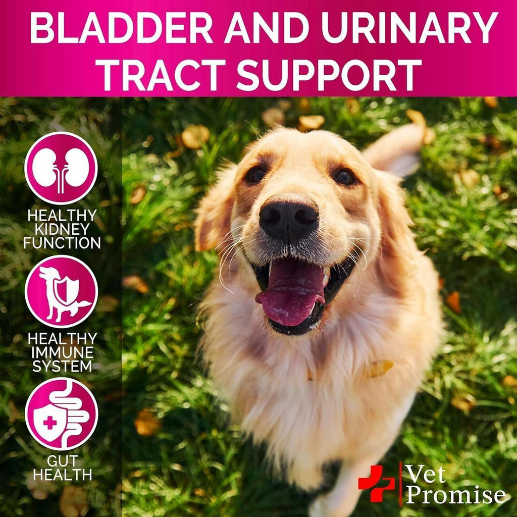 Cranberry UTI Treatment Chews for Dogs - Mascotitas