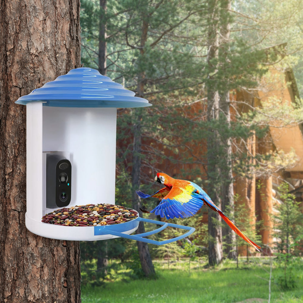 Smart Bird Feeder with Solar-Powered Camera