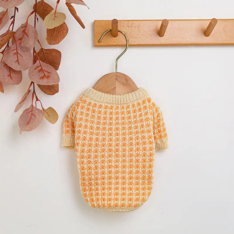 Dibi Bear Sweater for Dogs and Cats in Autumn/Winter - Mascotitas